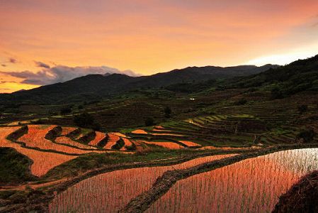 春の田植えを迎えた牙胡棚田 海南省五指山市 z7840145dbb4aecc9e967a695802fa419 春の田植えを迎えた牙胡棚田 海南省五指山市