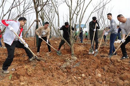 今日は45回目の植樹の日 2022年中国植林面積は383万ヘクタール z94e1a33d1b26e40b03cf04a21f6485b0 今日は45回目の植樹の日 2022年中国植林面積は383万ヘクタール