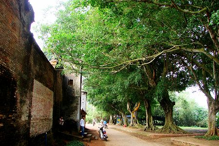 zd0461f10f00ca7df8dc5502198bdd2a0 農村振興を刺激する唐辛子の「辛み」　河北省定州市