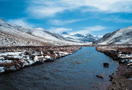 ze05d307f79fe4866d16a55a4bb49349c 生態系回復が進み、野生動物の姿増える玉樹蔵族自治州