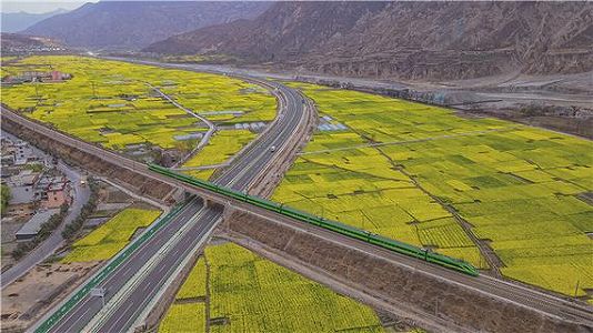 z0ae6514bb273a6d5fa561b1153e1f365 花の中を走り抜ける列車が美しい春の景色を演出