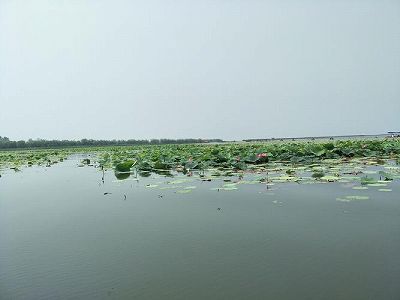 zf292807b4ab94255243f88317a0526d1 「国家の名刺」として衡水湖が特別記念切手のデザインに　河北省