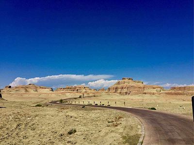 zf79df9b6b1237c52ef6e40cf27a5329f 美しい自然が戻りつつある克拉瑪依市にクロヅルが飛来　