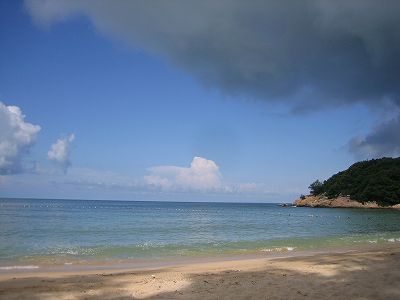 深セン市と中山市を繋ぐ深中通路海底トンネルの接合工事が無事終了 z30c220ee7cf83224d7ac7cb7fd950db6 深セン市と中山市を繋ぐ深中通路海底トンネルの接合工事が無事終了