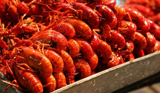 z4109575b7c3a1f0ce3454fed24863314 一万人規模の「ザリガニの宴」開催　江蘇省??県