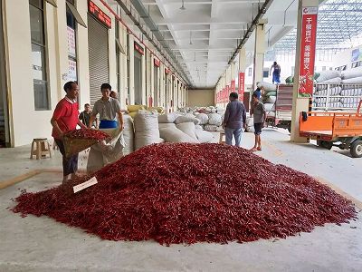 z79c70ad14b9a56a87e604918582d0a57 唐辛子の専門卸売市場を訪ねて　貴州省遵義市