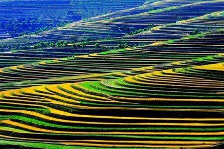 z845149b4f9c68236f949c7ce547a7667 「高原版パレット」のような圧巻の景色広がる青海省の棚田