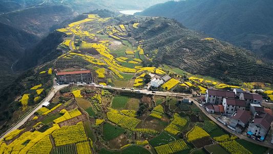 「千万工程」で美しく生まれ変わった浙江省の農村 ze7c4ef8738feaf27dcb5016ea0a200f6 「千万工程」で美しく生まれ変わった浙江省の農村