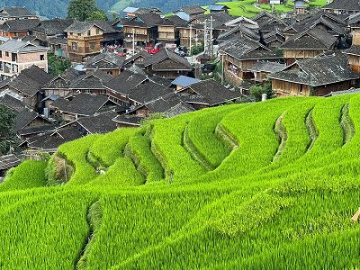 鮮やかな緑の棚田が広がる貴州省 z10d596258c6d33b681bb354f645946db 鮮やかな緑の棚田が広がる貴州省