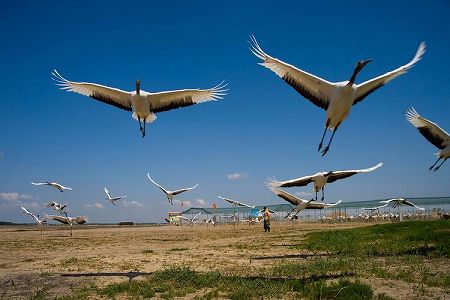 中国で「北上」して「避暑」がトレンド 10万人が観光列車で黒竜江省へ z405adbb104f68af7b77d3f3956ece2e6 中国で「北上」して「避暑」がトレンド 10万人が観光列車で黒竜江省へ