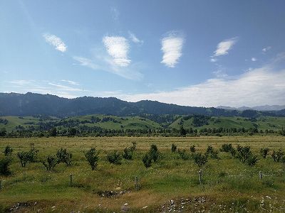 z5049aed73f253c56e571abe0a51e6eb2 星が煌めく夜の那拉提国家湿地公園　新疆維吾爾自治区