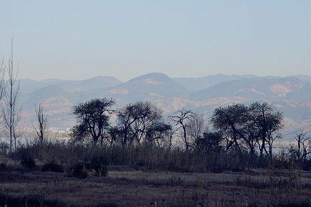 z5ca66335f29c87943f1ae062c2829d1c 父親看病のため帰郷、ライブコマースで村民の所得増に貢献する女性