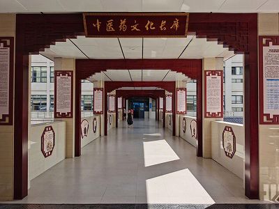 z77c3d06da6e68f6d26698873c65af0f8 サマーキャンプで中医薬文化を学ぶ小学生　河北省