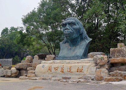 z9a47d95aa24b910383c6c10215b887d2 周口店の北京原人遺跡、古代人の頭頂骨の化石を発見