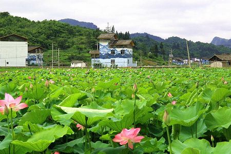 zf1c3247b6affcf2af639a6311e3410ca 芸術家たちが古民家を修繕して作業場に　貴州省黔南布依族苗族自治州