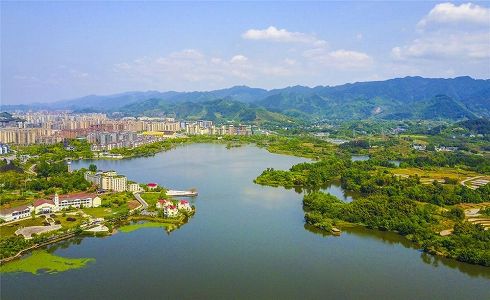 z40e1d5899d9dd987188dcc906e8280d9 重慶市で「ブロンズトキ」を初確認　一度は絶滅宣言された希少種