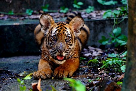 8月23日は二十四節気の14番目「処暑」 zd0b352daa05c20057ebdaca6ad4d0669 8月23日は二十四節気の14番目「処暑」