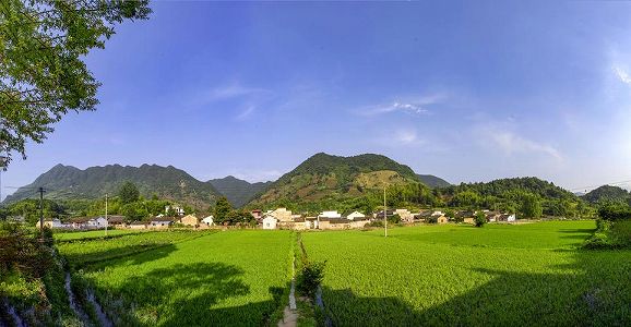 収穫の秋に広がる美しい風景 江西省gan州市 z43d3660a8f203457b4bb75a4788cca53 収穫の秋に広がる美しい風景 江西省gan州市
