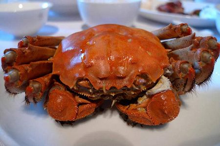 上海ガニの生産量、今年は大幅に増加 価格も昨年より手頃に zeb7a31aa35fc31c7435d42816952e591 上海ガニの生産量、今年は大幅に増加 価格も昨年より手頃に