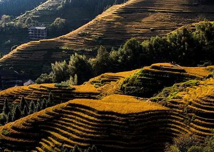 z5be30d61b7fc98501d22d4dd5844e056 世界の重要な農業文化遺産「龍脊棚田」が観光ベストシーズンに