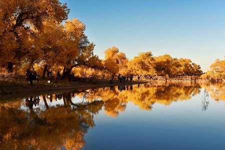 コトカケヤナギ林の上空をウイングスーツで飛ぶ! 内蒙古自治区 za115ebde41efaec42987377fa339ea37 コトカケヤナギ林の上空をウイングスーツで飛ぶ! 内蒙古自治区
