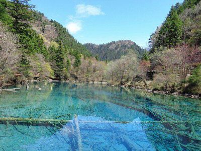 zdf3453dafacdf566a274c084559284d6 雪化粧を施された美しい黄竜景勝地　四川省