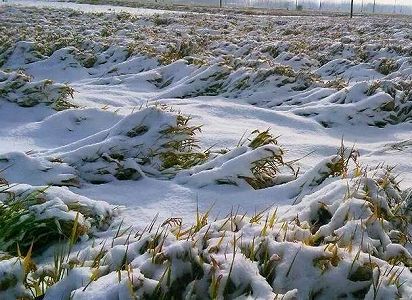11月に入って2回目の寒波襲来へ 北方地域は気温急降下の予想 z0f0c2727f6438e023a735cbe9ed400a1 11月に入って2回目の寒波襲来へ 北方地域は気温急降下の予想