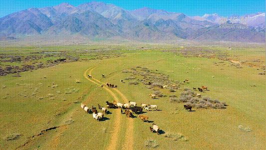 z254bdb13c89ef3c5af19e94e49a1918b 産業融合が加速する通関地のある都市　新疆維吾爾自治区