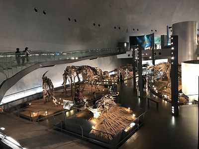 貴州省で世界最古の卵共存型恐竜化石群が発見 z4146c1973168a4fc02403019ecc08614 貴州省で世界最古の卵共存型恐竜化石群が発見