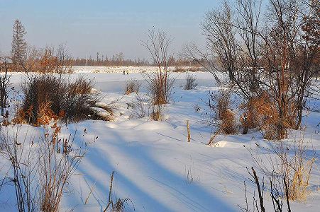 z574187f5bf6b555676a66595758ba818 今月8日は二十四節気の19番目「立冬」