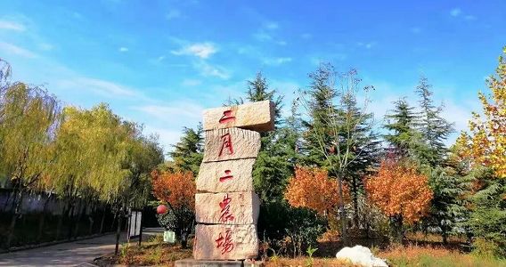 z6bccc776ba73c6c4460ba2a0d80c19bb 豊かな暮らしへの願いを込めた飾り蒸しパンコンテスト　山東省青島市