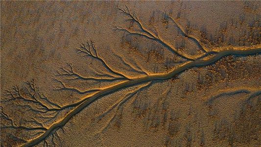 z927a4c56552cd4b7b1a757afe5632c71 潮汐が織りなす「潮汐樹」がネットで人気のスポットに　浙江省海寧