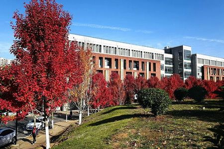 z11c054bdeabbdfba 赤々と色付いた楓の林広がる「武漢文華学院」　湖北省