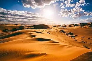 z14f0bd2ee65b75d1 季節をずらして栽培したブドウが収穫期を迎える　甘粛省張掖市