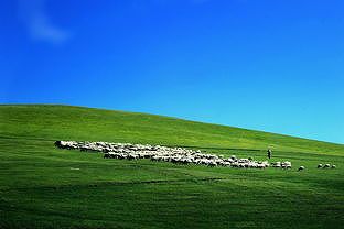 zc9875a7e984ff8e2 氷と雪の世界で楽しむホッカホカの鍋！　内蒙古自治区