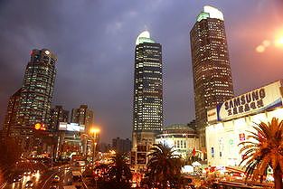 zd654b22712af4103 樹洞にリスの絵を描いた女性、ライトを取り付けた配送員　上海市