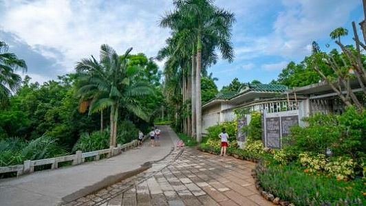 約420品種が集まる国家ブーゲンビリア遺伝資源バンクが一般公開 zu16399911862202259342fm253app138fJPEG 約420品種が集まる国家ブーゲンビリア遺伝資源バンクが一般公開