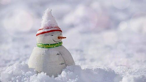 「雪に伝言を代筆」が、再び人気に z434c1f09e50c3335 「雪に伝言を代筆」が、再び人気に