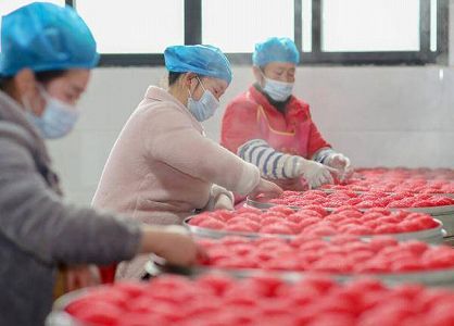 z6987863a4bbae073 春節を迎えるための赤い餅作りスタート　貴州省銅仁市