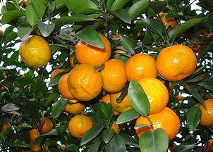 za04e66546b6ac465 幼稚園児たちの修学旅行が生んだ心温まる中国南北の交流