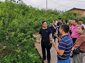 zaa17dfc9aa36bb24 重慶市、9つの渡り鳥移動の保護経路を画定