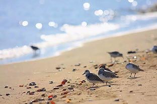 中国の2023年の平均気温が過去最高に ze63fc53fcac69dc5 中国の2023年の平均気温が過去最高に