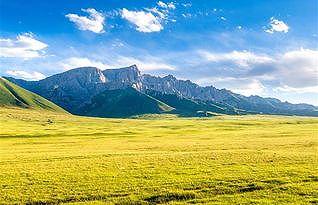 ze6e73e81fefc0f5c 「チベスナ顔」で人気！四角い顔のチベットスナギツネ　青海省