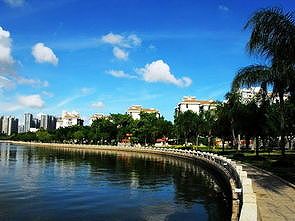 zf03e24f2f2c3f268 福建省厦門市の「yundang（うんとう）湖」にやって来た美しい鳥とは？