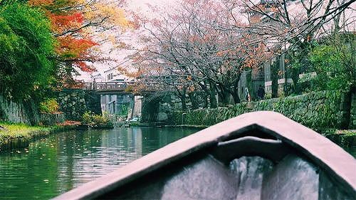 z0f5878025f5e44fe 文化観光経済をバックアップした春節連休