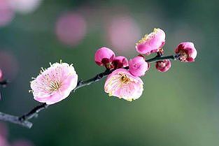 z4856f70e7bc5eacf 「立春」を越えれば日に日に暖かくなる？