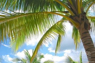 zb3ae2eed2cb4dc7c 年5回の連休の旅行計画を立て、飛行機チケットも予約済みのある夫婦