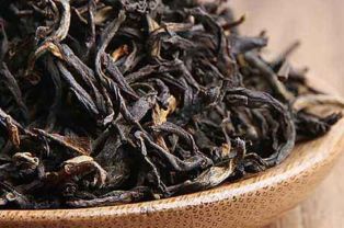 0c35760d1f3f0f71 春茶の収穫シーズンが間もなく到来　茶摘み職人確保急ぐ雲南省