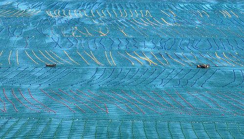 z14ea14379d7683b5 海洋牧場での「春の耕作」　山東省栄成市