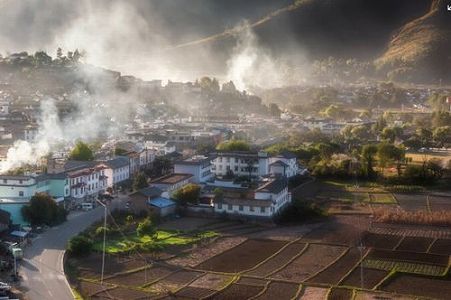 z17cd448d440353f3 農家の所得増に寄与するアミガサタケ産業　雲南省香格里拉市